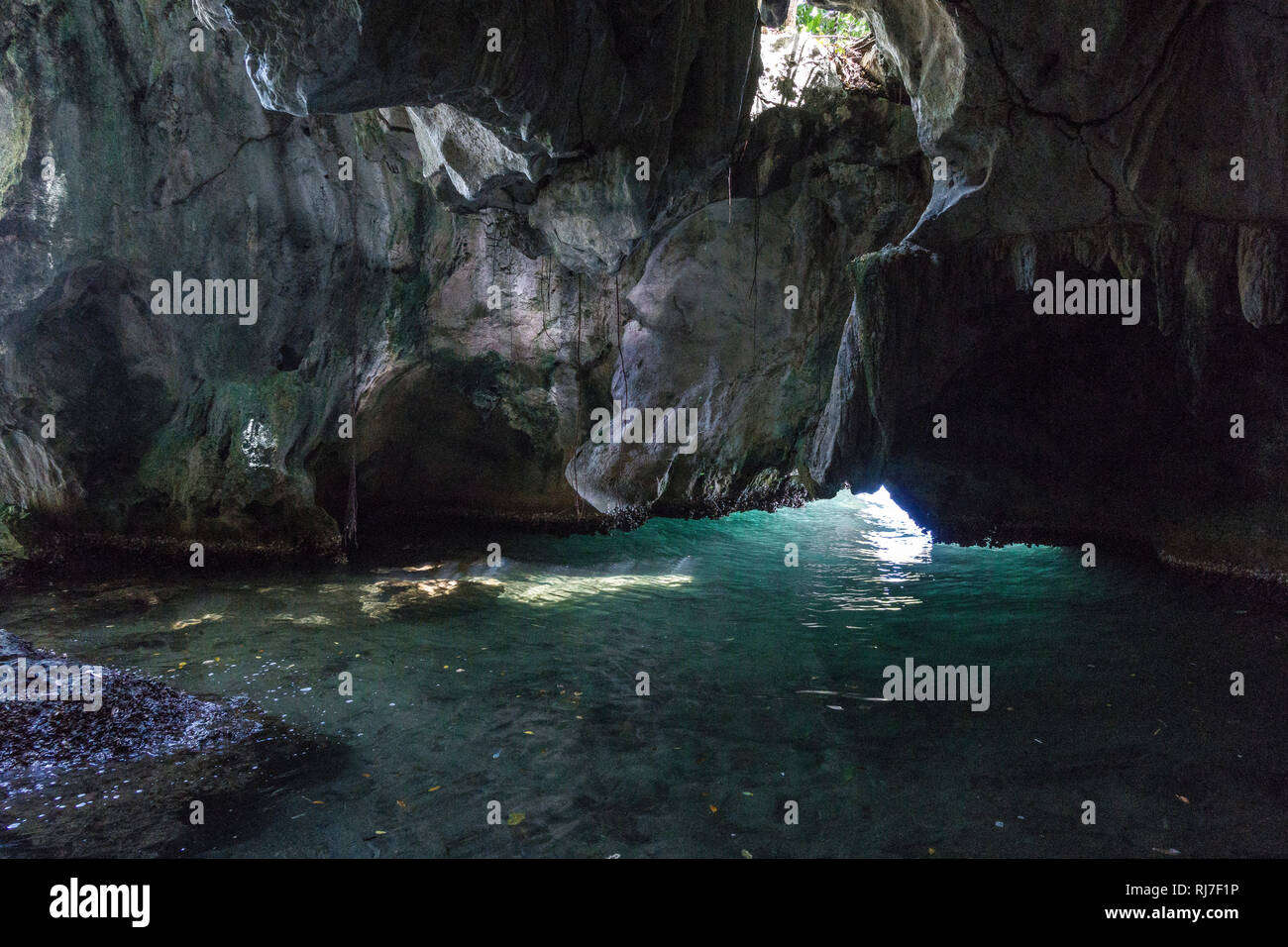 Große Antillen, Karibik, Dominikanische Republik, Samana, Höhle im Nationalpark Los Haitises Stockfoto