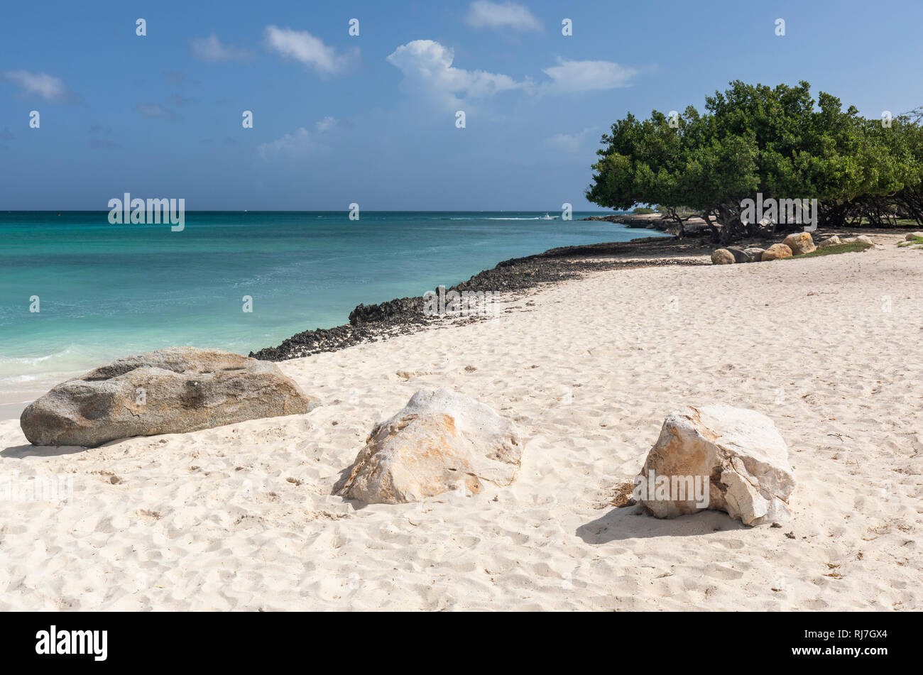 Eagle Beach, Aruba, Karibik. Stockfoto