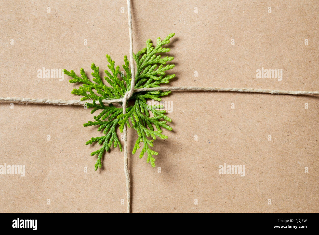Gebunden string mit einer Zypresse Blatt Stockfoto