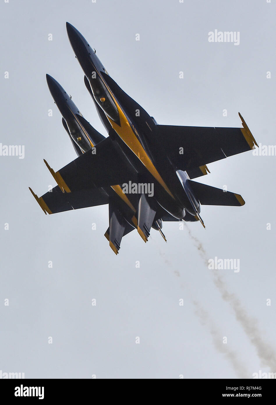 190202-N-UK 306-1214 EL Centro, Kalifornien (Feb. 2, 2019) der US-Navy Flight Demonstration Squadron, die Blue Angels, Diamond Piloten führen Sie die doppelte Farvel Manöver während einer Ausbildung Flug bei Naval Air Facility (NAF) El Centro. Der Blaue Engel sind die Durchführung von winter Training an NAF El Centro, Kalifornien, in der Vorbereitung für die Saison 2019 zeigen. Das Team wird voraussichtlich 61 Flugvorführungen an 32 Standorten im Land der Stolz und die Professionalität der US Navy und Marine Corps zur Schau zu stellen, der amerikanischen Öffentlichkeit zu führen. (U.S. Marine Foto von Mass Communication Specialist 2. Klasse Stockfoto