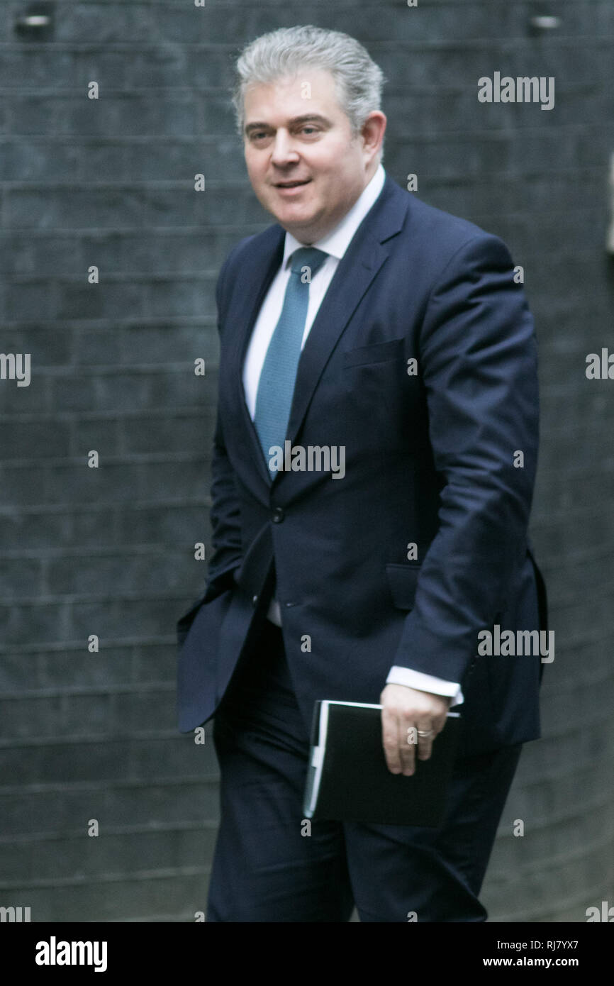 London, Großbritannien. 5. Februar 2019. Brandon Lewis MP Minister ohne Portfolio kommt in der Downing Street für die wöchentliche Kabinettssitzung Credit: Amer ghazzal/Alamy leben Nachrichten Stockfoto