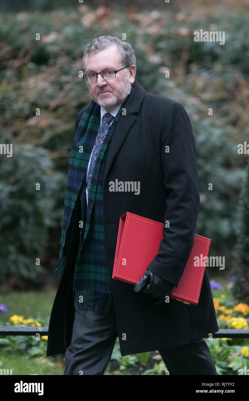 London, Großbritannien. 5. Februar 2019. David Mundell MP Minister für Schottland kommt an der Downing Street für die wöchentliche Kabinettssitzung Credit: Amer ghazzal/Alamy leben Nachrichten Stockfoto