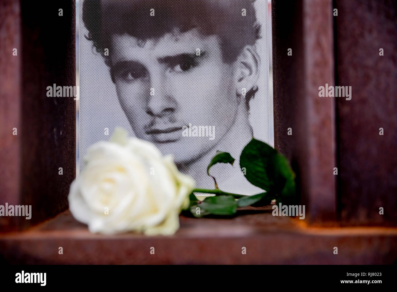 Berlin, Deutschland. 05 Feb, 2019. Chris Gueffroy's Bild mit der Weißen Rose können im Fenster der Gedenkstätte für die Opfer der Berliner Mauer auf dem ehemaligen Todesstreifen an der Bernauer Straße zu sehen. Chris Gueffroy, der vor 30 Jahren an der Berliner Mauer erschossen wurde bei dem Versuch zu entkommen, ist die letzte Person, die durch die Verwendung von Feuerwaffen zu sterben. Credit: Christoph Soeder/dpa/Alamy leben Nachrichten Stockfoto