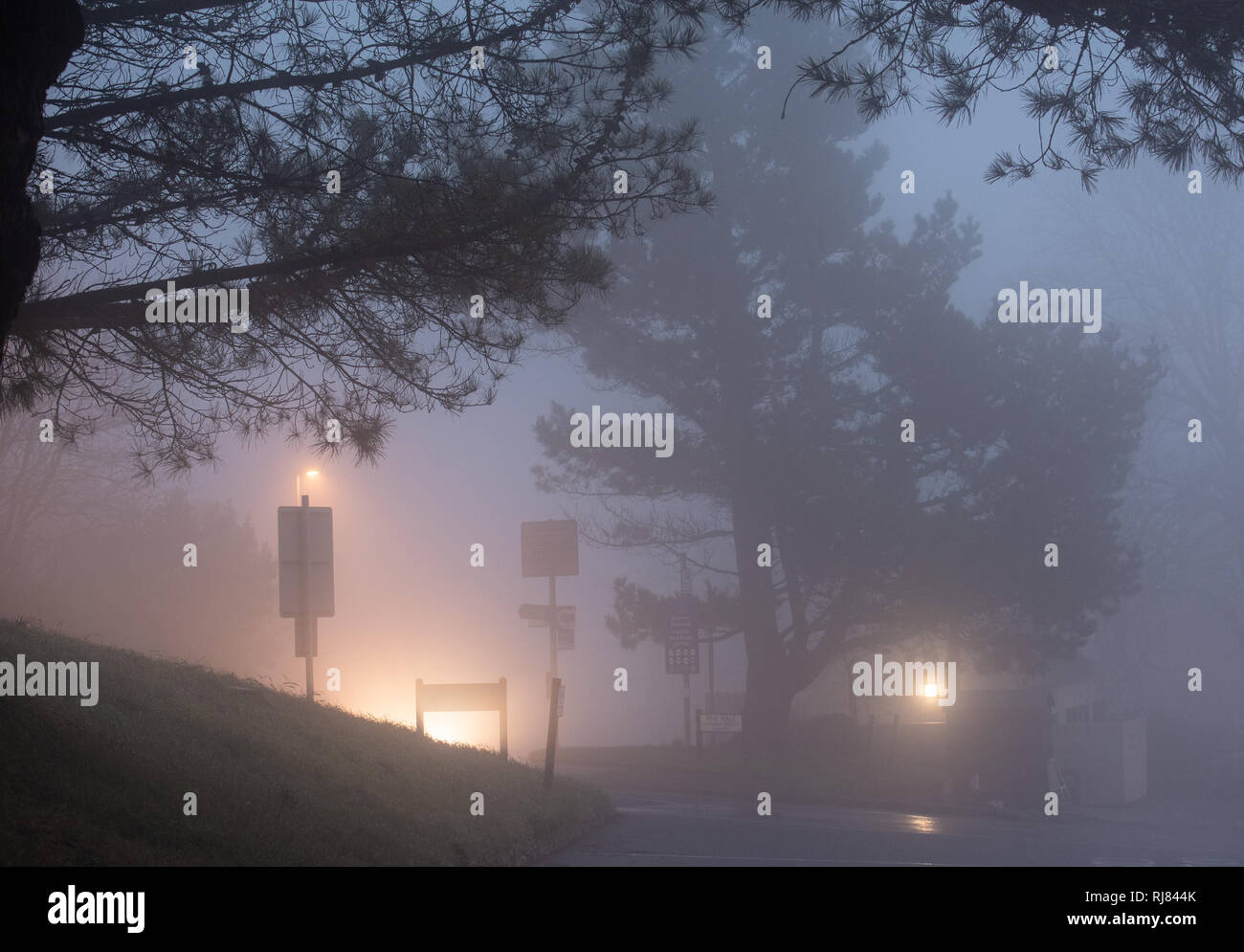 Lyme Regis, Dorset, Großbritannien. Februar 2019. UK Wetter: Dichter Nebel rollt vom Meer und macht die Fahrbedingungen am frühen Abend im Südwesten gefährlich. Quelle: DWR/Alamy Live News Stockfoto