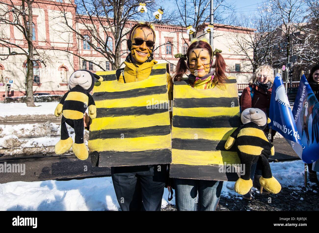 München, Deutschland. 5. Februar, 2019. Betroffene Bürger am Maxmonument demonstrieren und Kostüme zu Speichern die Bienen tragen unter dem Volksbegehren (Artenvielfalt Artenvielfalt Initiative). Eine Koalition von zahlreichen politischen und ökologischen Gruppen gemeinsam zu erstellen, eine Initiative zu speichern (Rettet die Bienen sterben Bienen). Im Rahmen dieser Initiative werden allen lokalen Rathäuser sind offen Unterschriften zu sammeln, um die Artenvielfalt zu erhalten. Credit: Sachelle Babbar/ZUMA Draht/Alamy leben Nachrichten Stockfoto
