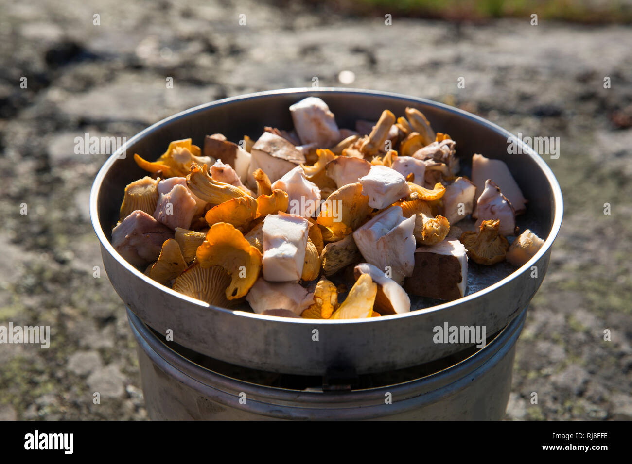 Pilze in Kocher, outdoor Stockfoto