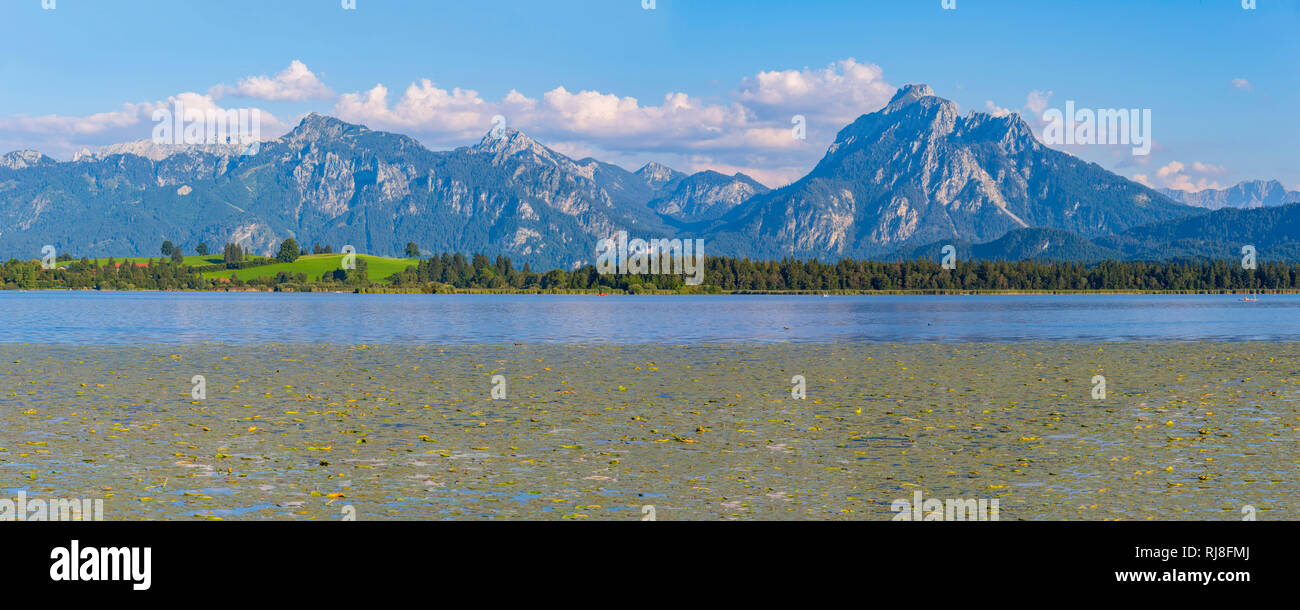Hopfensee, dahinter der Säuling, 2047 m, Ammergauer Alpen, Ostallgäu, Allgäu, Schwaben, Bayern, Deutschland, Europa Stockfoto