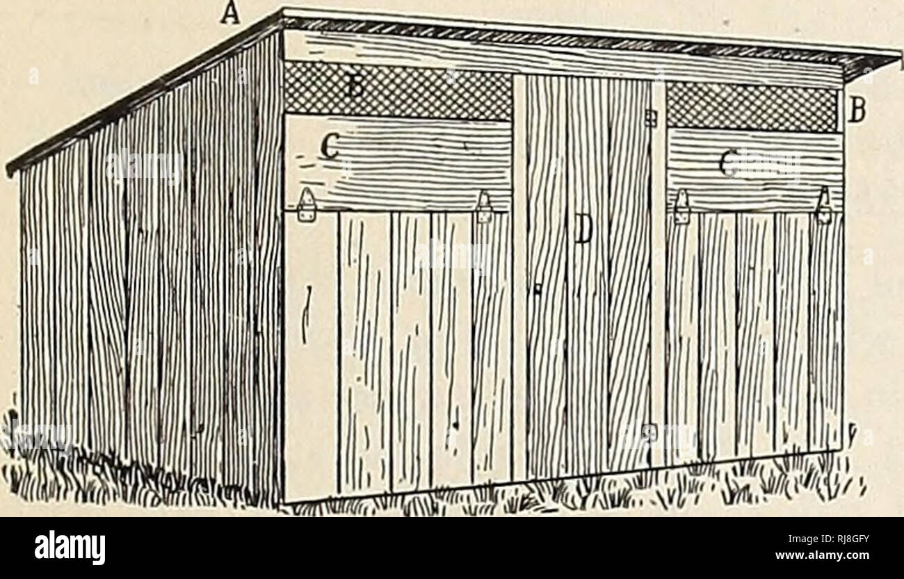 . Das Küken Buch, von der Zucht pen durch die Shell zu Reife: Enthält die Erfahrung des weltweit führenden poultrymen... Geflügel. Das KÜKEN BUCH 63 ist ein Drahtgitter Tür vor, damit genügend Luft zu geben, auch Ungeziefer - Nachweis in der Nacht. Wie für unsere Art der Fütterung, geben wir Mais Boden sehr grob, so dass die Küken haben etwas zu holen. Bach morgen Wir nehmen, was Maismehl wollen wir für einen Tag und befeuchten Sie es mit Milch, die dem Siedepunkt erhitzt worden ist, wobei Sie sorgfältig darauf achten, gründlich mischen, so dass alle die Mahlzeit wird gebrüht und verhindert so die Gefahr der Darm Probleme. Wir Gebühr Stockfoto
