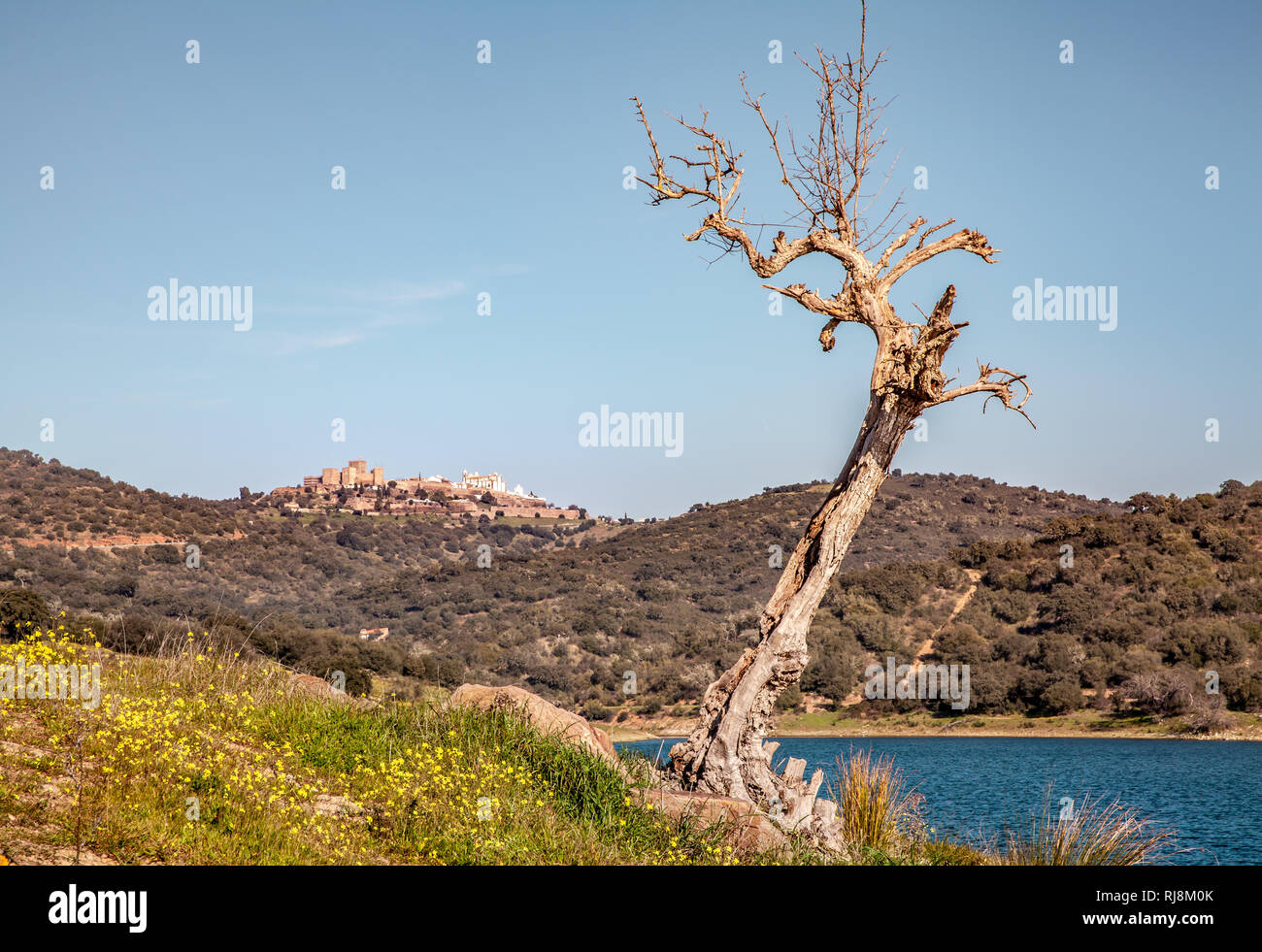 Alqueva Stausee Landschaft in Alentejo und Blick auf den Hügel Dorf Monsaraz Portugal Stockfoto
