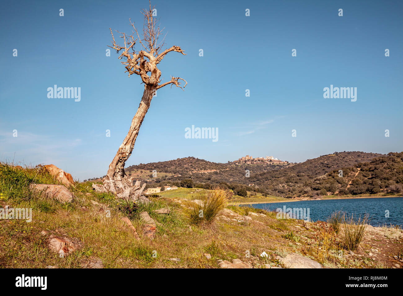 Alqueva Stausee Landschaft in Alentejo und Blick auf den Hügel Dorf Monsaraz Portugal Stockfoto