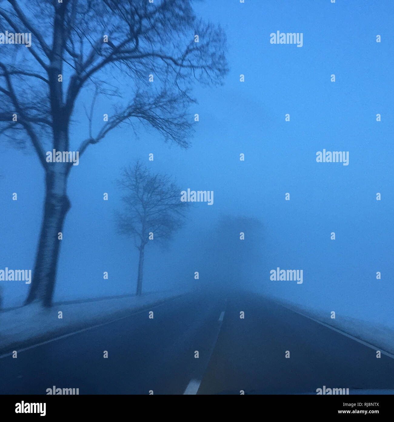 Landstraße, Bäume, Nebel, Winter, Dämmerung Stockfoto