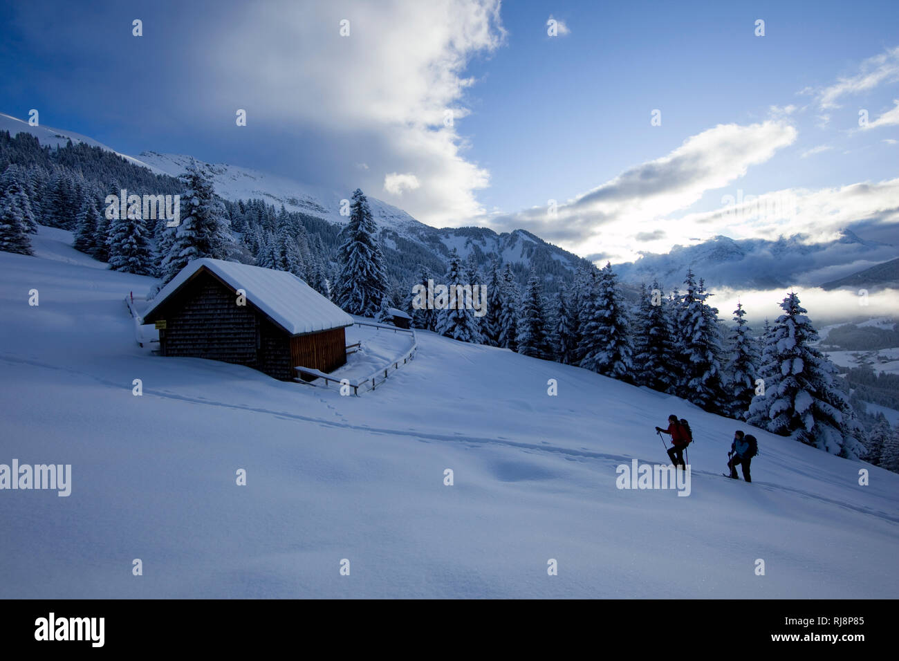Schneeschuhtour zum Pfuitjöchl, Ammergauer Alpen, Tirol, Österreich Stockfoto