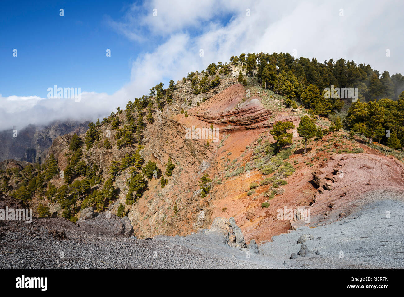 Rötliches Vulkangestein auf der Caldera de Taburiente, Nationalpark, La Palma, Kanarische Inseln, Spanien Stockfoto