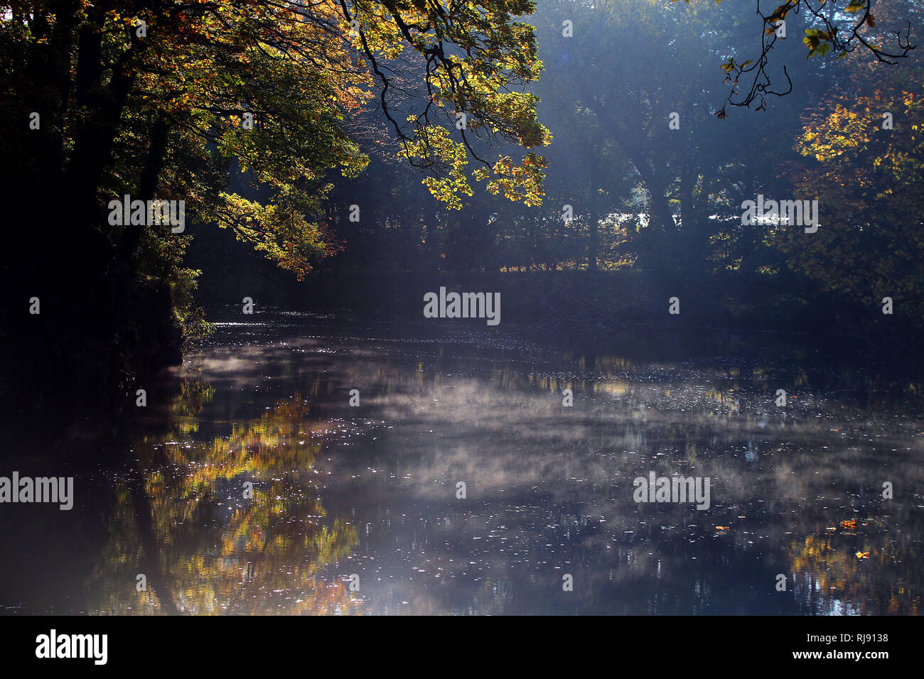 Wetter / HERBST BILD. Frosty Start für North Wales. Im Bild: Licht am frühen Morgen auf dem Fluss Dee unter Pontcysyllte Aquädukt. Montag 29. Oktober 2018. Stockfoto