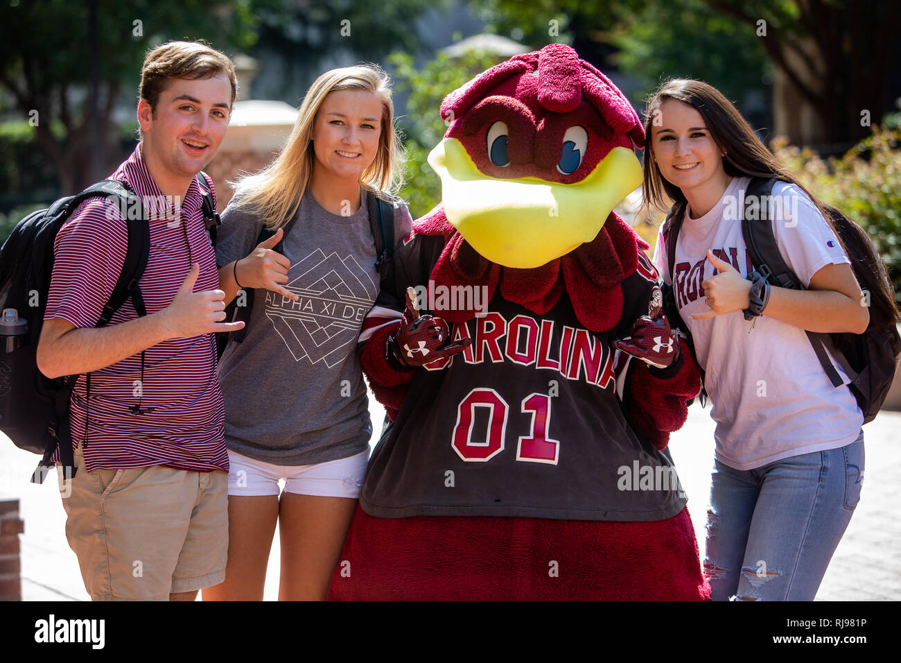 Universität von South Carolina Kampfhahn, Maskottchen Cocky ist ein grosser Erfolg auf dem Campus während Spiel Tag. Stockfoto