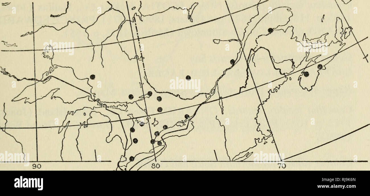 . Überprüfen Sie die Liste der Amphibien und Reptilien von Kanada und Alaska. Amphibien, Reptilien, Amphibien, Reptilien. y. Karte 67. Diadophis punctatus edwardsi 135). Treesbank, Wawanesa (PC: R. W. Sutton). SASKATCHEWAN. Bergfield (PC: W. Beck); (Usm). Bengough (PC: R. W. Nero). Hardy (PC: W. Beck); (Usm). Harptree (PC: R. W. Nero). Shaunavon (PC: S. BLEAKNEY). Diadophis punctatus edwardsi Merrem NORD RING-NECKED SCHLANGE in Kanada: Ontario ostwärts nach Neuschottland; gegen Mitternacht aus der Unteren Seen auf etwa 48° nördlicher Breite. Es ist nicht von Prince Edward Island bekannt und offensichtlich funktioniert nicht Stockfoto