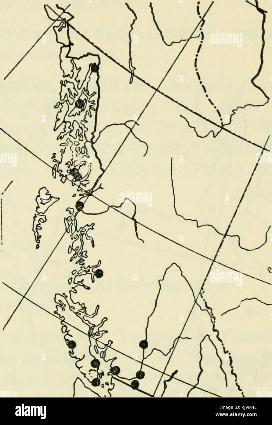 . Überprüfen Sie die Liste der Amphibien und Reptilien von Kanada und Alaska. Amphibien, Reptilien, Amphibien, Reptilien. Ich Halifax Co., Halifax (Jones, 1865, S. 127). Victoria Co., Perth Twp. (ROM). Yarmouth Co (Dunn, 1918, S. 451). ONTARIO. Algoma Dist., Maclennan (Rom). Bruce Co., Lucknow, Hecht Bay (Rom). Essex Co., Pelee Insel (ROM). Leeds Co., Marmor Stein (Toner und de St. Remy, 1941, S. 10). Lincoln Co., St. Catharines (Rom). Nipissing Dist., See Timaganai (Coventry, 1931, S. 109). Norfolk Co., Long Point (Rom). Parry Sound Dist., Franklin Insel (Rom). Prince Edward Co., Hallowell, Picton (Rom). Stockfoto