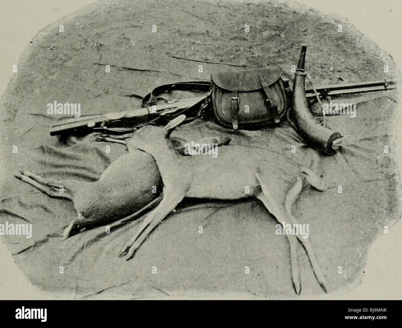 . Chasses aux Grands fauves: Anhänger la traversÃ©e du Kontinent noir du ZambÃ ¨ ze au Congo francais. Die Jagd. Illustr. ist C'Est de la collection de mes photographies de Chasse qu'ont Ã©tÃ© tirÃ©es les Illustrationen de ce livre. Les Deux appareils nicht je me suis continuelle- servi Ã©taient une chambre à Soufflet de Dal-meyer avec Objectif de Ross 18-24^^ un appareil à Main du genre Kodak 9-12, tous Deux employant des Plaques rigides en celluloÃ ¯ d de l'Ã©paisseur d'un Karton Bristol. Ceci dit, et le Player ayant passÃ© Avec Moi la Revue de Mon Arsenal de guerre, filons sur Marseill Stockfoto