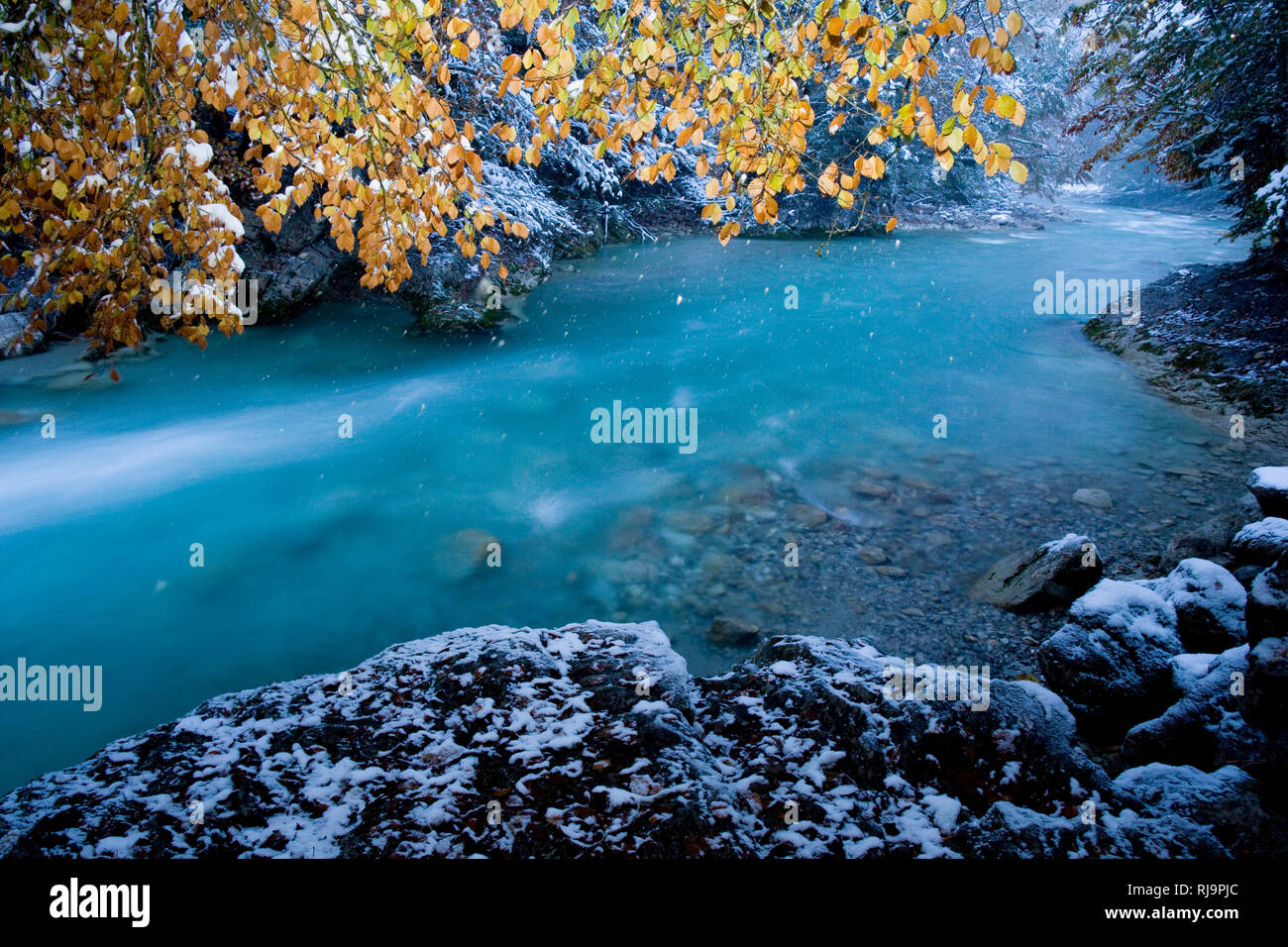 Rissbach im Risstal, Wintereinbruch bei Hinterriss im Karwendelgebirge, Tirol, Österreich Stockfoto