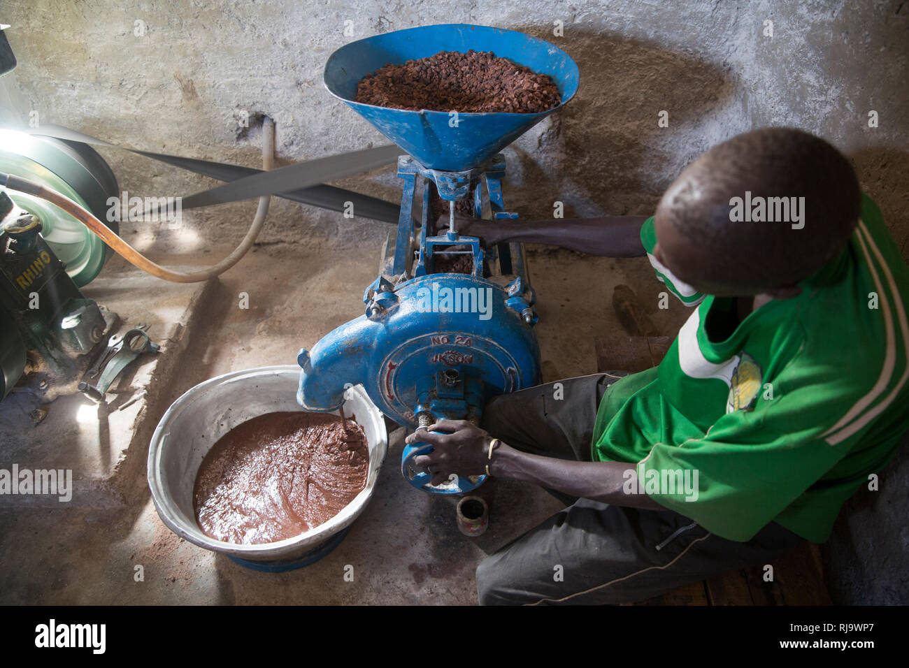 Baribsi Dorf, Yako, Burkina Faso, 30. November 2016; Schleifen ohne Schale Shea-nüsse Für shea butter Baribsi's Dorf Frauen Warengruppe. Stockfoto