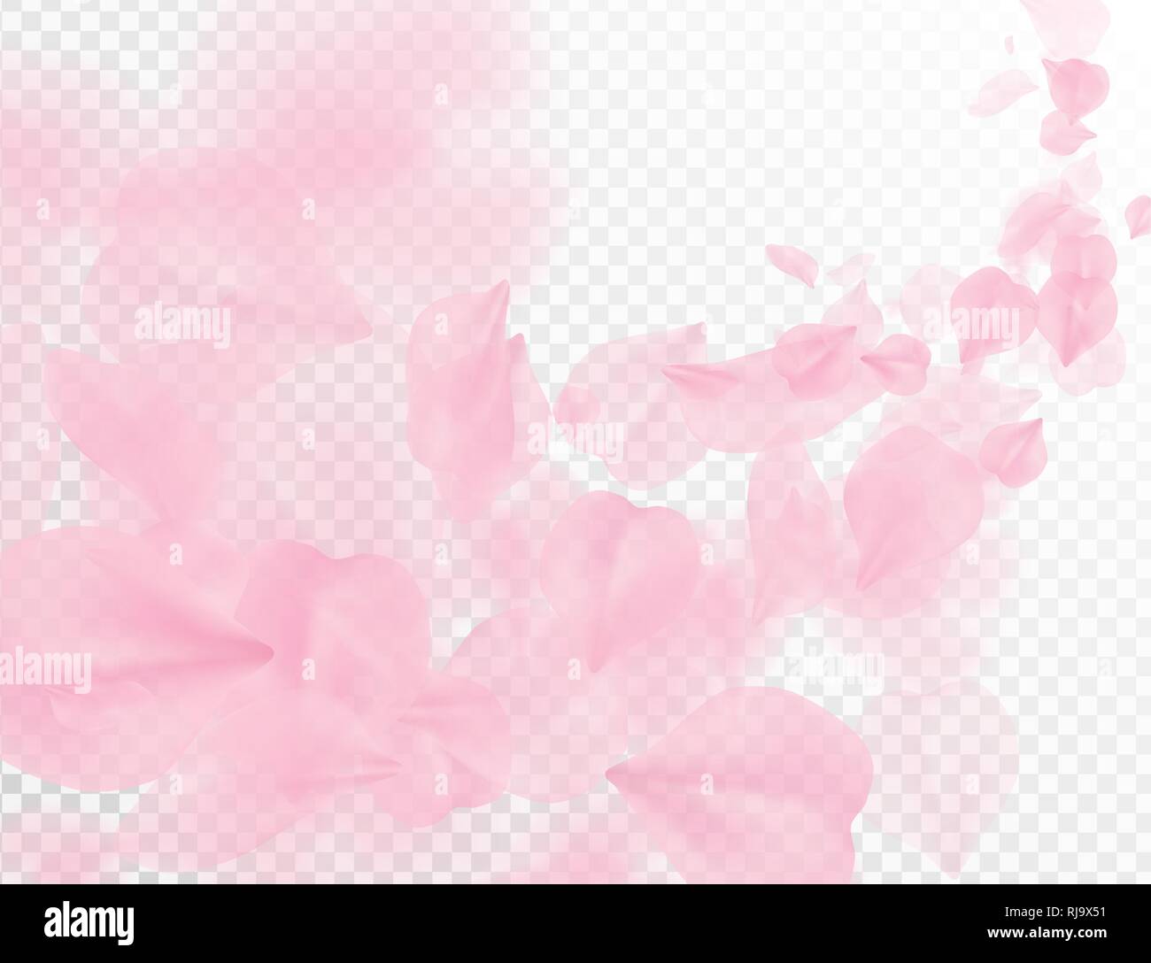 Sakura Blütenblatt flying vector Hintergrund. Rosa Blütenblätter Welle Abbildung isoliert auf transparent weiß. 3D-romantischen Valentinstag Frühling Ausschreibung Stock Vektor