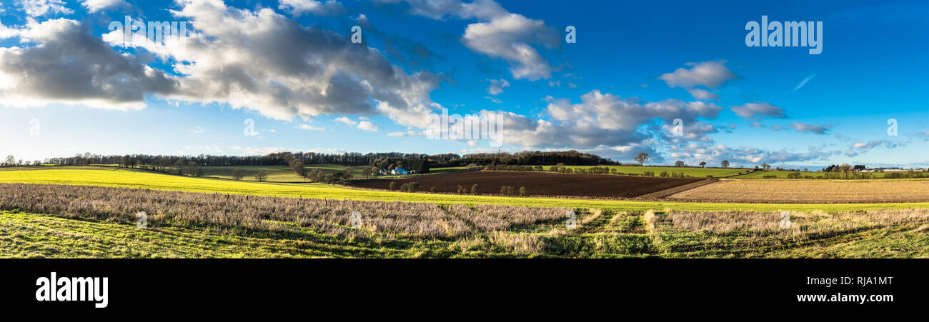 Panorama der Landschaft von Cotswold auf eine helle Winterabend über Rollenackerland Stockfoto