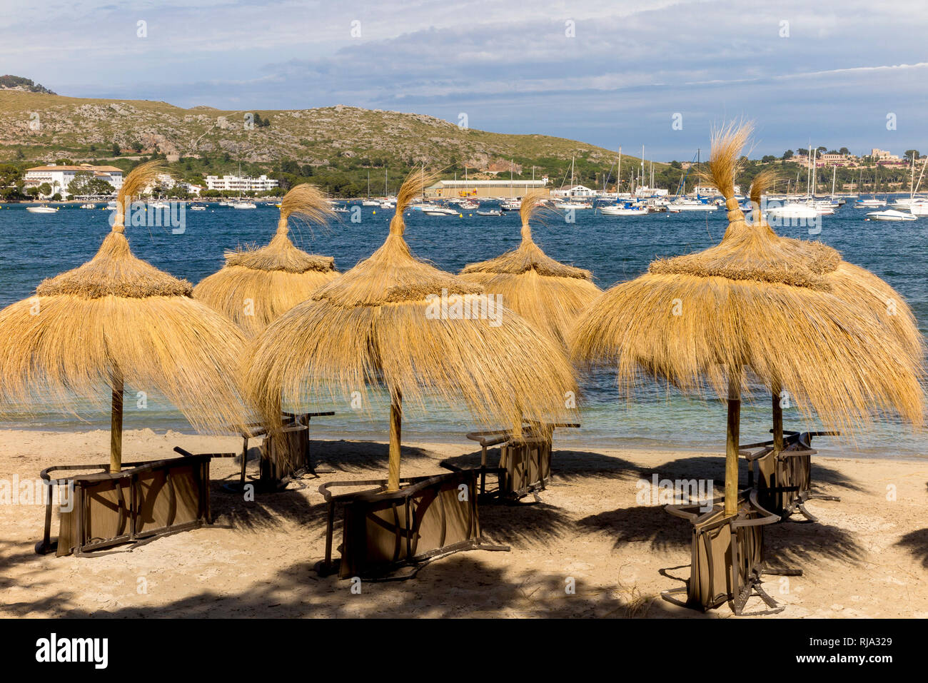 Sonnenschirme und Liegestühle, City Beach, Port de Pollenca, im Nordosten der Insel Mallorca, Mittelmeer, Balearen, Spanien, Südeuropa Stockfoto
