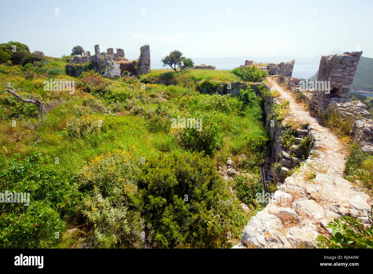 Macchia neben der Mauerkrone der Ruine Paleo KÃ¡stro in Griechenland Stockfoto