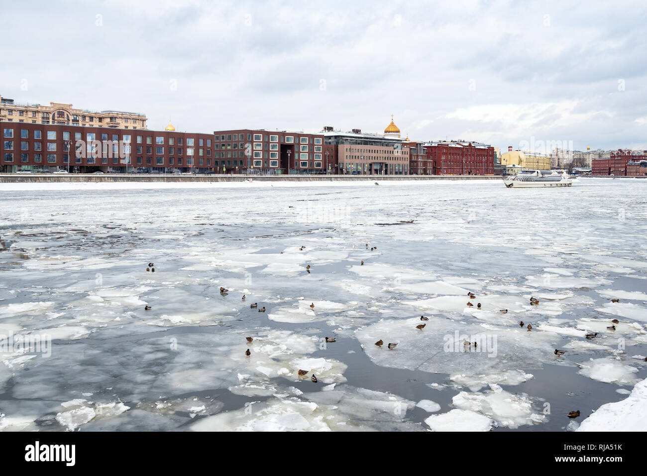 Enten auf Eisschollen in den Fluss Moskwa und Blick auf Prechistenskaya Damm und die Christ-Erlöser-Kathedrale in Moskau Stadt im Winter Stockfoto