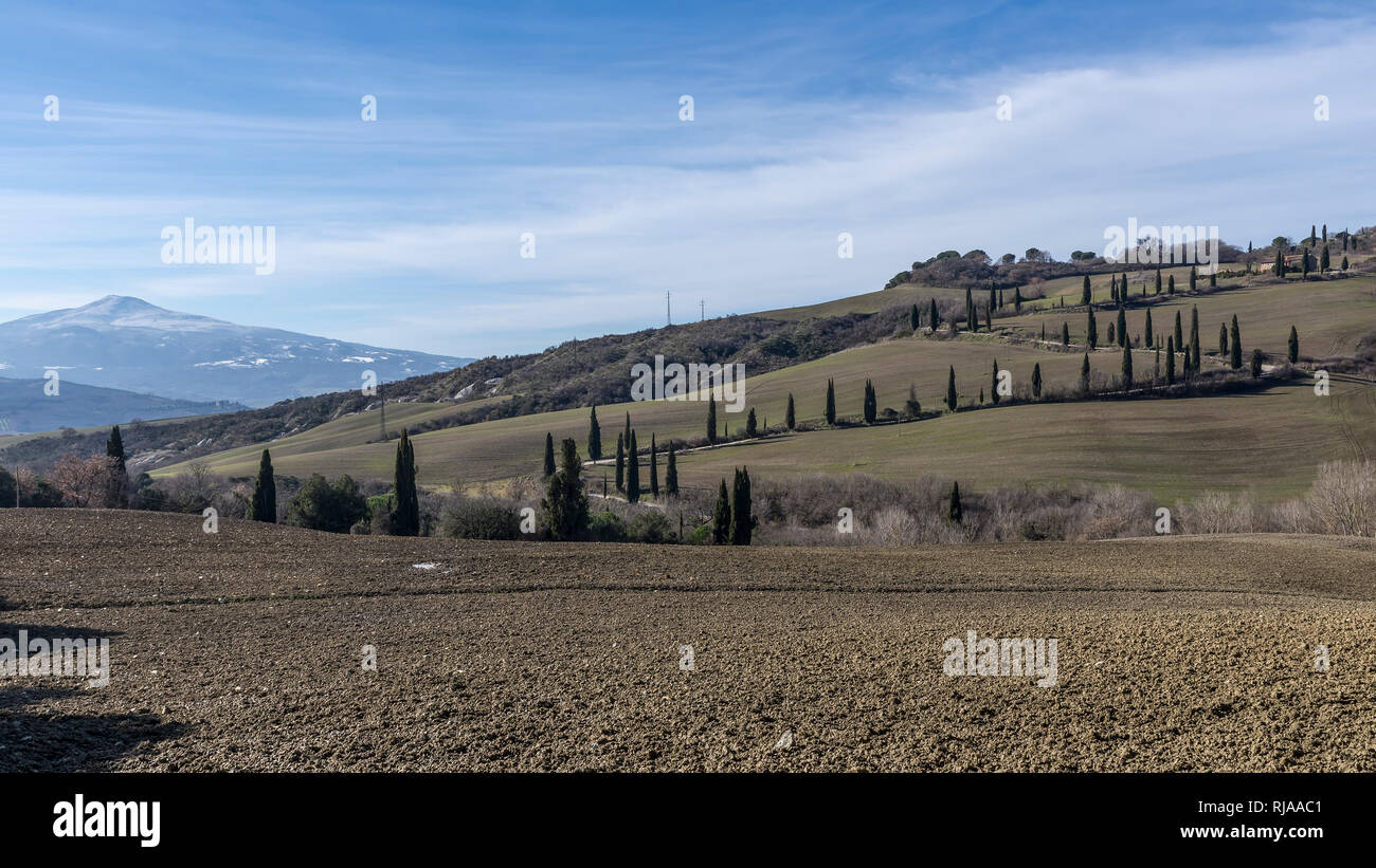 Blick auf die typisch sienesische Landschaft mit Monte Amiata bedeckt mit Schnee im Hintergrund, Toskana, Italien Stockfoto