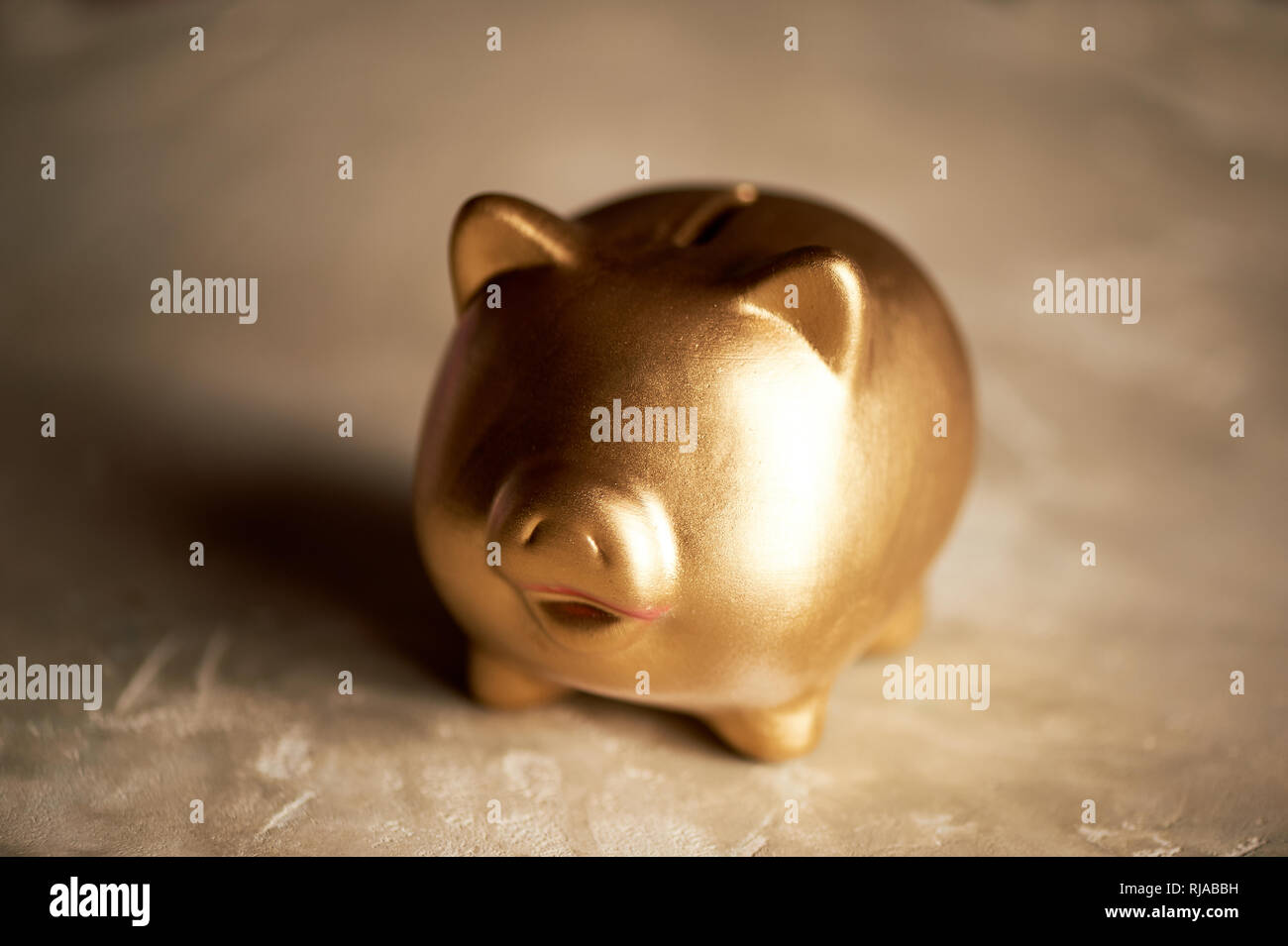 Symbol für 2019. Gold pig piggy Bank mit Münzen. Finanzielle Planung. Stockfoto