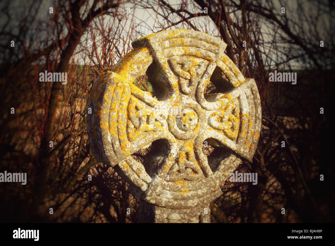 Eine geschnitzte Cornish Keltische Kreuz, Gunwalloe Kirchhof, Cornwall, UK - Johannes Gollop Stockfoto