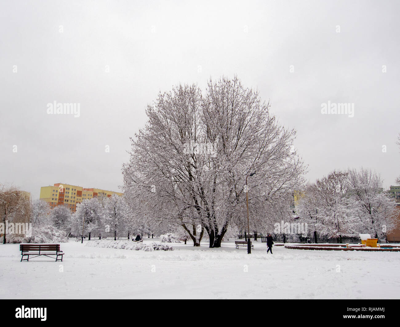 LODZ, Polen - 4. FEBRUAR 2019: Im Februar Winter morgen in Podolski Park in Lódź Stockfoto