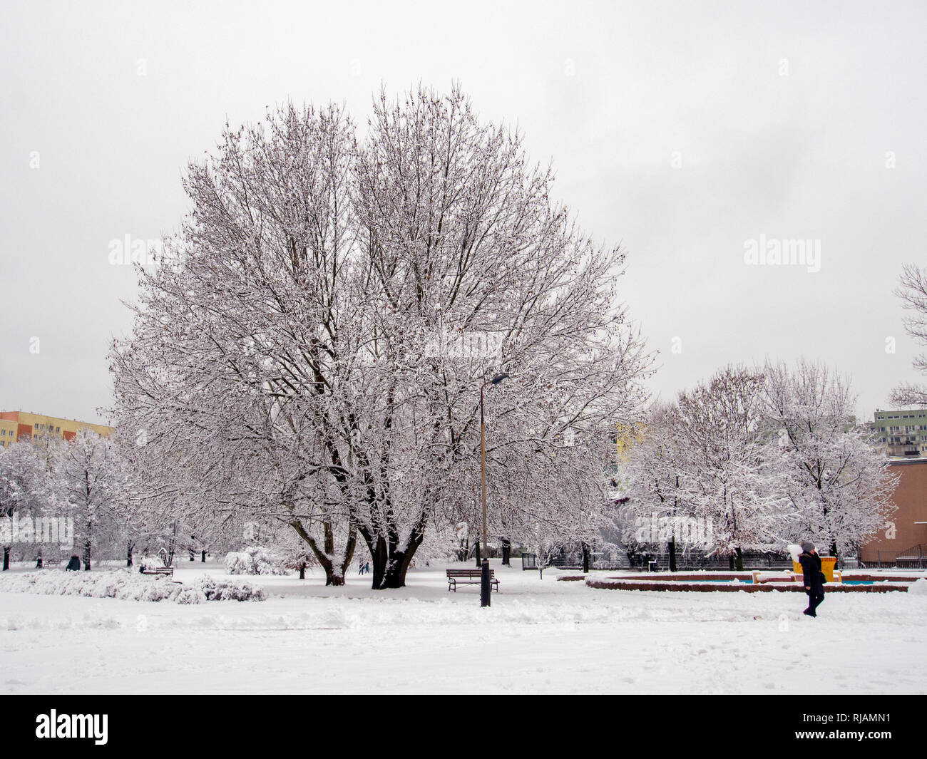 LODZ, Polen - 4. FEBRUAR 2019: Im Februar Winter morgen in Podolski Park in Lódź Stockfoto