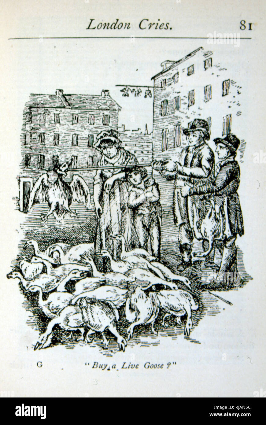 Abbildung: eine Frau verkaufen frische Gänse auf den Straßen von London. Circa 1780 Stockfoto