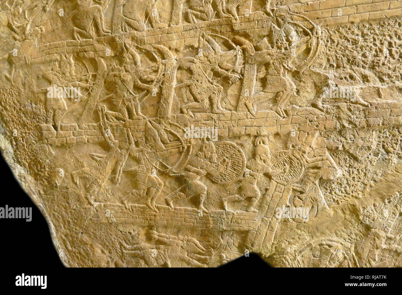 Erfassung von lachisch Fotos und Bildmaterial in hoher Auflösung Alamy