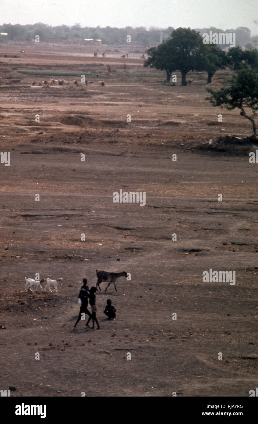 Ausgetrocknete Flussbett in Burkina Faso (Obervolta), Westafrika, während der Dürre von 1984. Von den späten 1960er bis frühen 1980er Jahre der Hungersnot starben 100.000 Menschen, 750.000 Links auf Nahrungsmittelhilfe angewiesen, und die meisten der 50 Millionen Menschen in der Sahelzone betroffen. Die Wirtschaft, die Landwirtschaft, die Viehzucht und menschlichen Populationen von viel von Mauretanien, Mali, Tschad, Niger und Burkina Faso (Obervolta während der Zeit der Dürre bekannt) waren stark beeinträchtigt Stockfoto