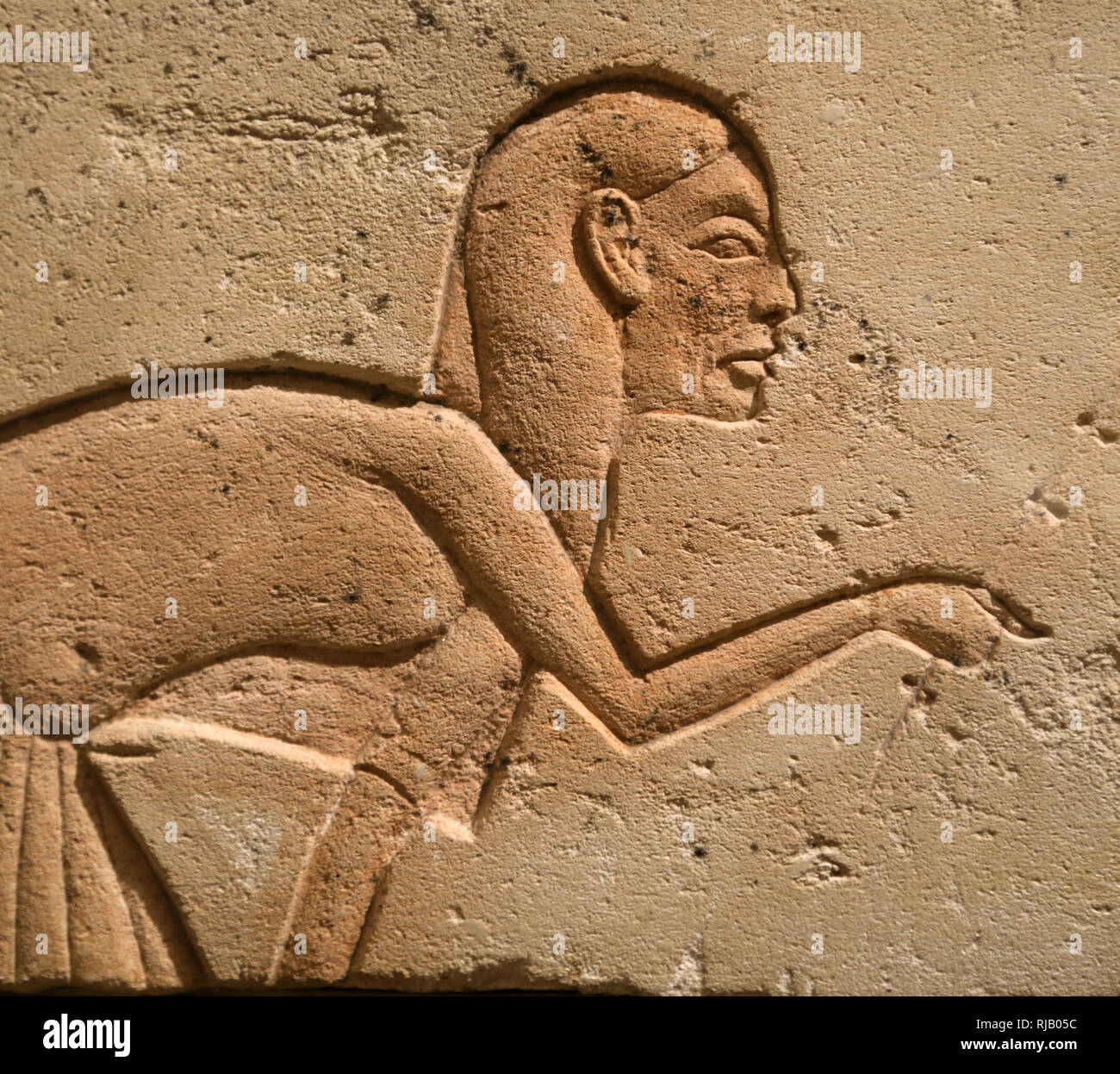 Ägyptisches Relief. Begleiter der Königlichen Familie. Dynastie 18, Echnaton Ära, Ca. 1353-36 BC. Der Met. NY, USA. Stockfoto