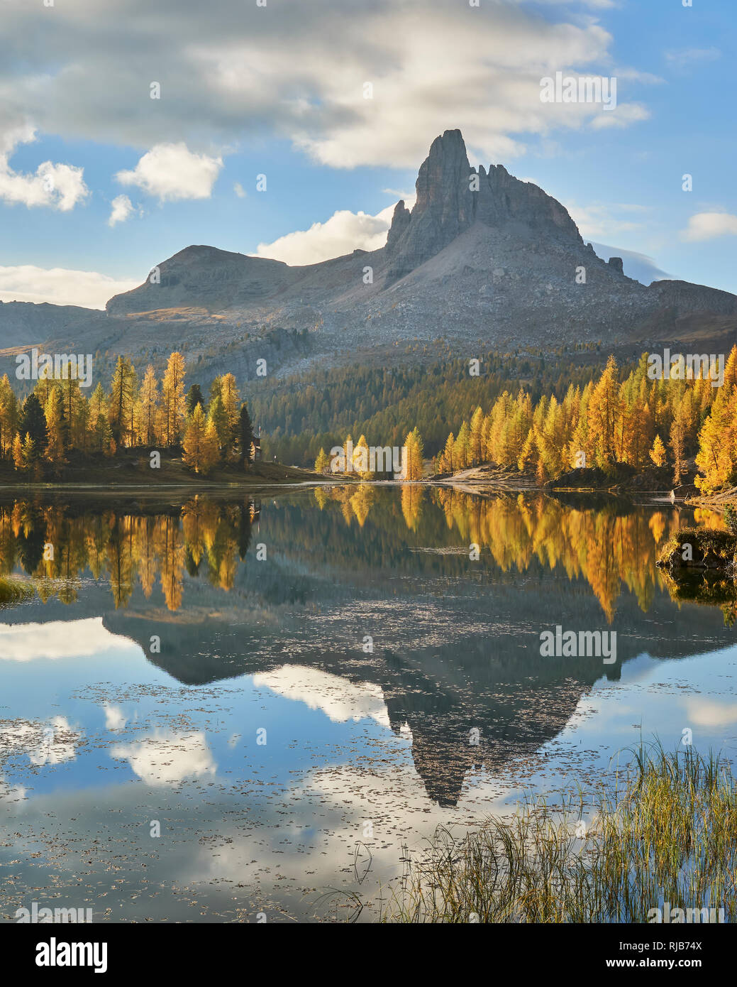 Beco de Mezodi reflektiert in Lago de Federa, Dolomiten, Belluno, Venetien, Italien. Herbst Stockfoto
