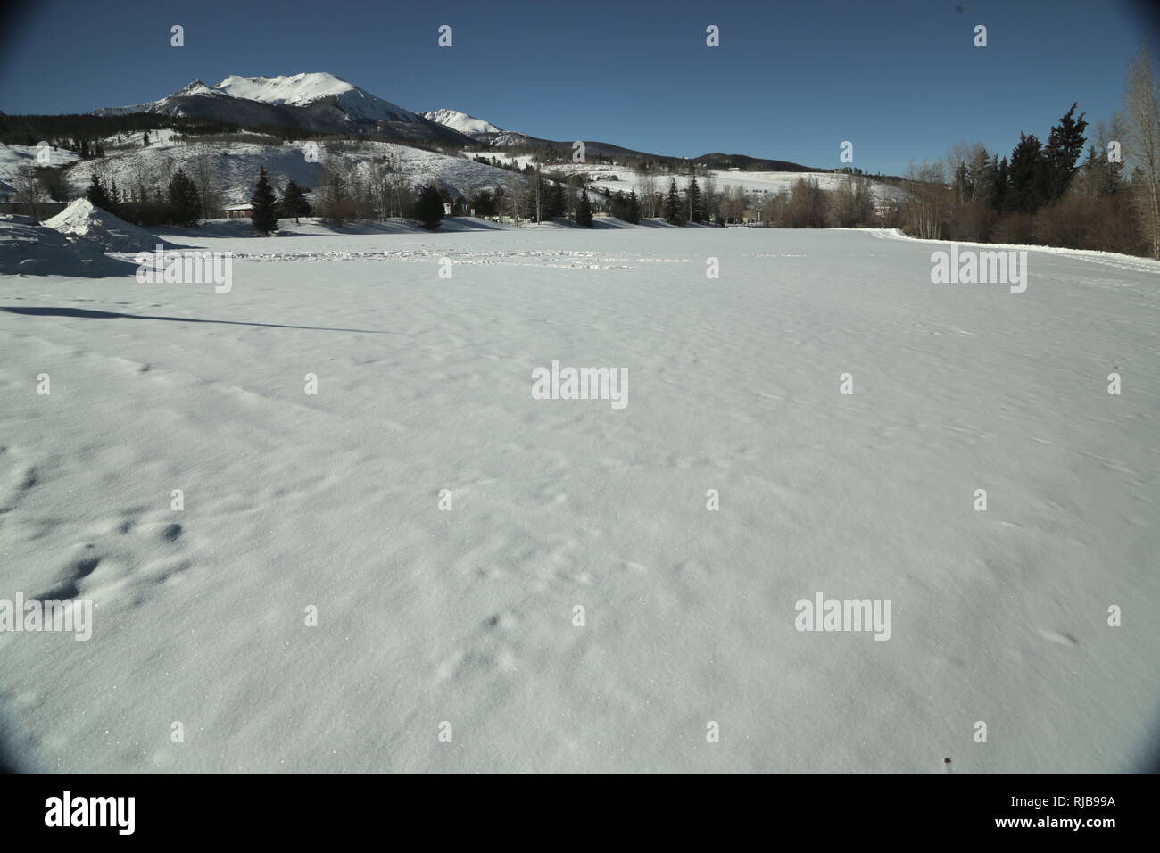 Winter in Colorado Stockfoto