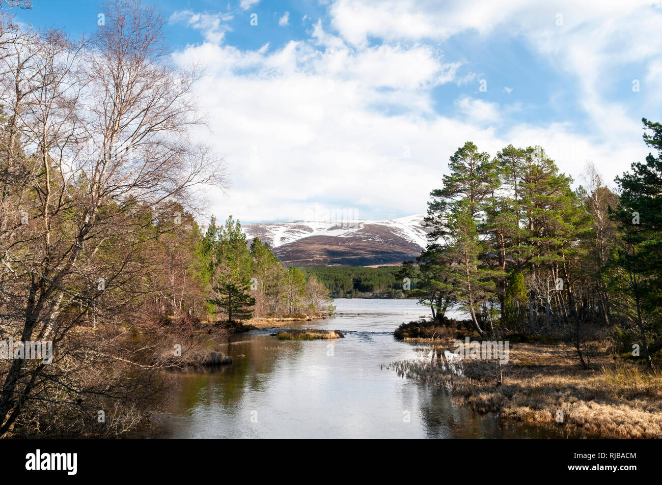 Ein Blick auf Loch Morlich an einem strahlenden Frühlingstag, mit Mount Cairn Gorm im Hintergrund. Cairngorms National Park, Inverness-shire, Schottland. März. Stockfoto