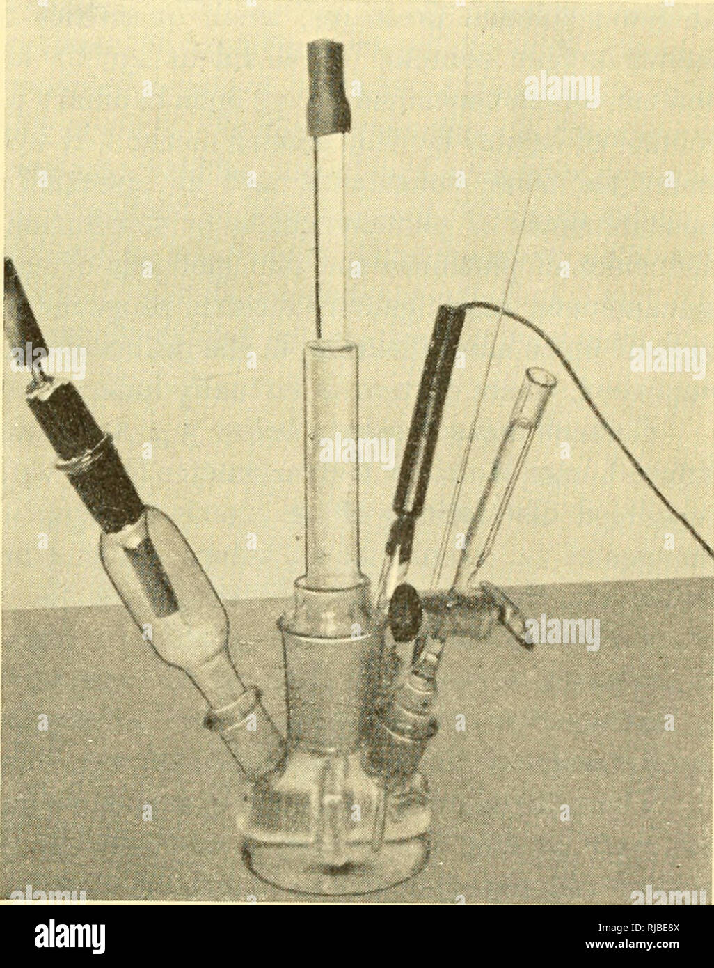 . Zelle Chemie; eine Sammlung von Papieren zu Otto Warburg anlässlich seines 70. Geburtstag gewidmet. Warburg, Otto Heinrich, 1883 -; Biochemie. VOL. 12 (1953) BlOPHYSICA ACTA BIOCHIMICA ET 347 ein ELEKTROCHEMISCHER DEMONSTRATION DER ENERGIEKREISLAUF UND MAXIMALE QUANTENAUSBEUTE in der Photosynthese * von KURT DAMASCHKE, Fritz Todt, Dekan BURK ** und Otto Warburg Max-Planck-Institut für Zellphysiologie und Material - prufungsamt, Berlin-Dahlem (Deutschland) eine neue und schnelle Elektrochemische Methode mit einem Zeitraum von weniger als einer Sekunde hat eine Studie des Sauerstoffs, den Austausch, die in Chlo angewandt. Stockfoto