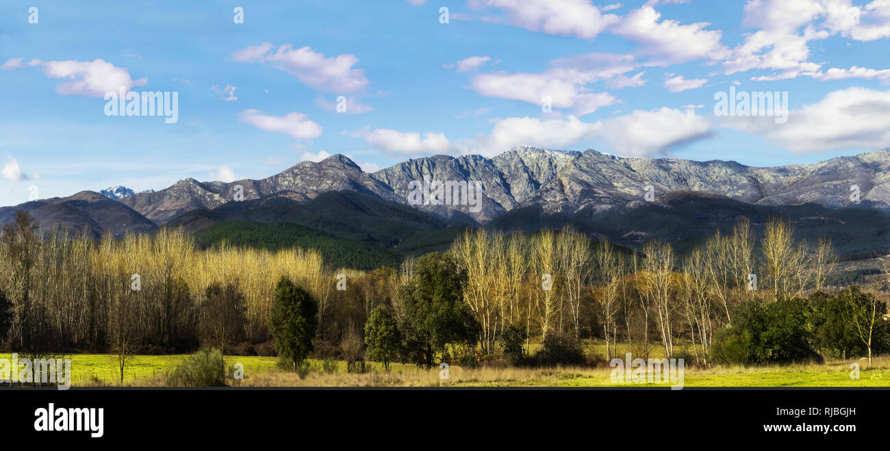 Panoramablick auf die Landschaft der Berge mit Bäumen und blauer Himmel. Panoramablick auf die Sierra de Gredos, Spanien Stockfoto