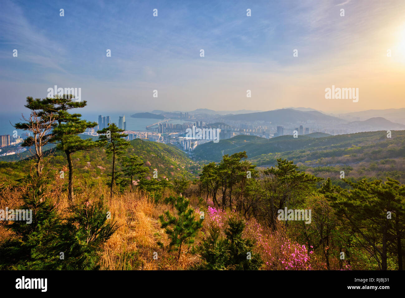 Busan Stadtbild Gwangan Brücke am Sonnenuntergang Stockfoto