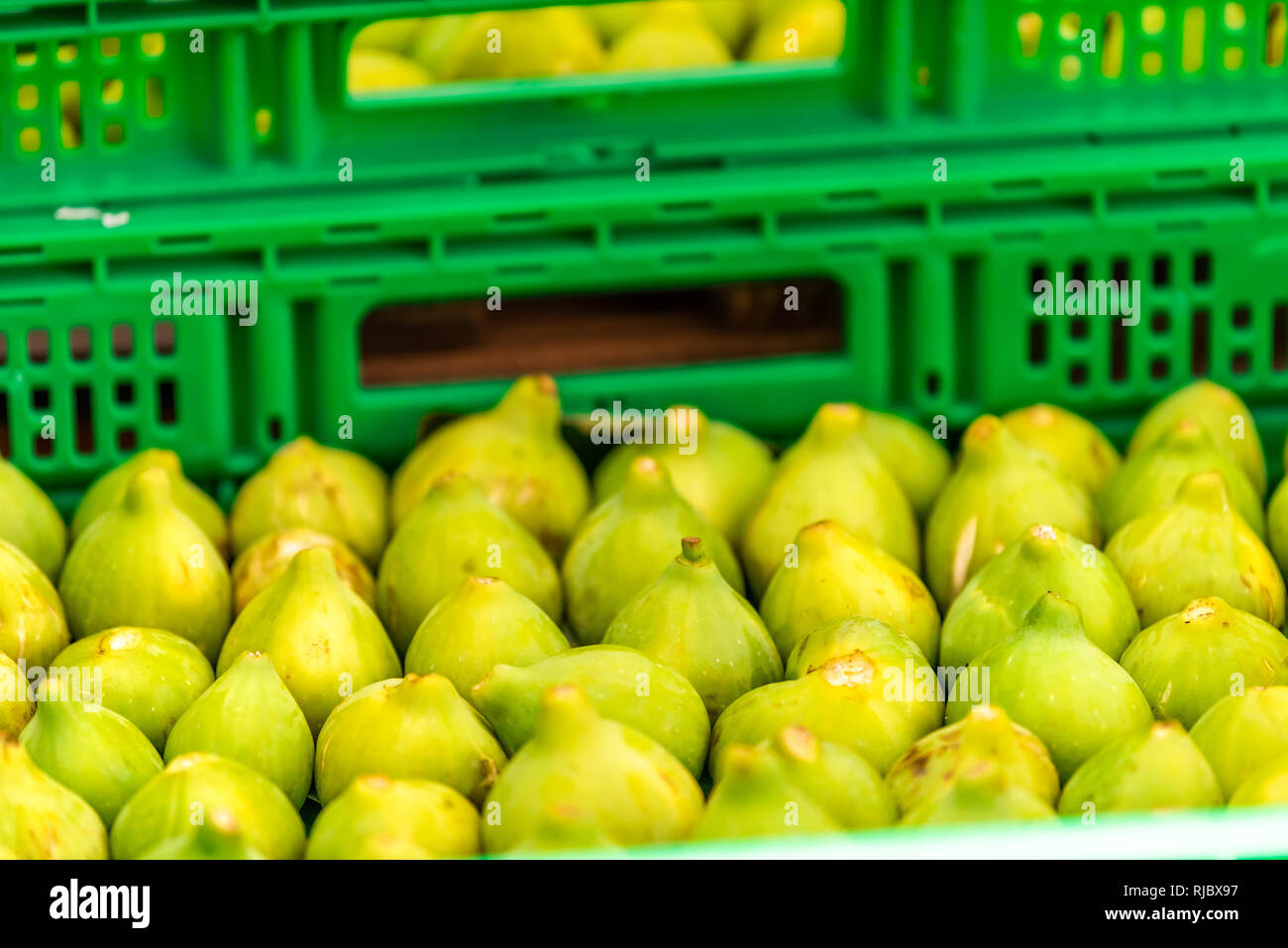 Frische reife Grün Gelb Farbe Feigen Früchte in Chiusi, Italien der Sommer Straße Bauernmarkt in Kisten Kisten Stockfoto