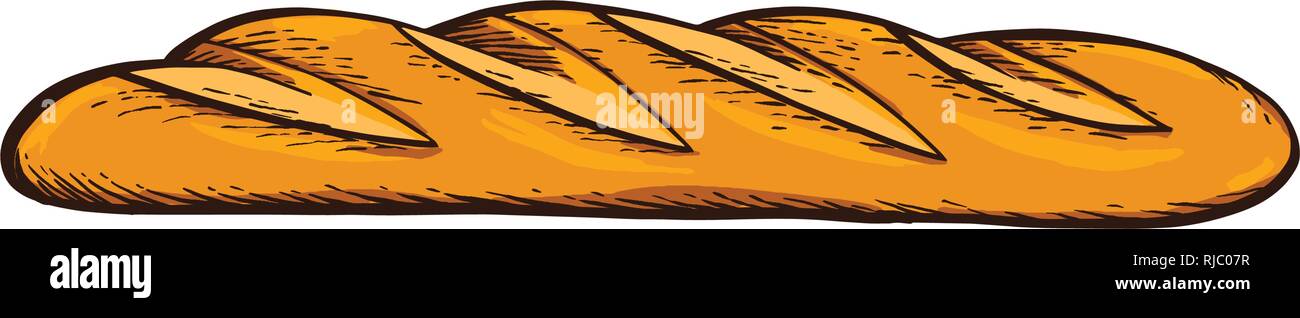 Weißes Brot. Baguette. Hand gezeichnet Vektor. Farbe vintage Gravur Illustration für Poster, Aufkleber und Menü Bäckerei. Stock Vektor