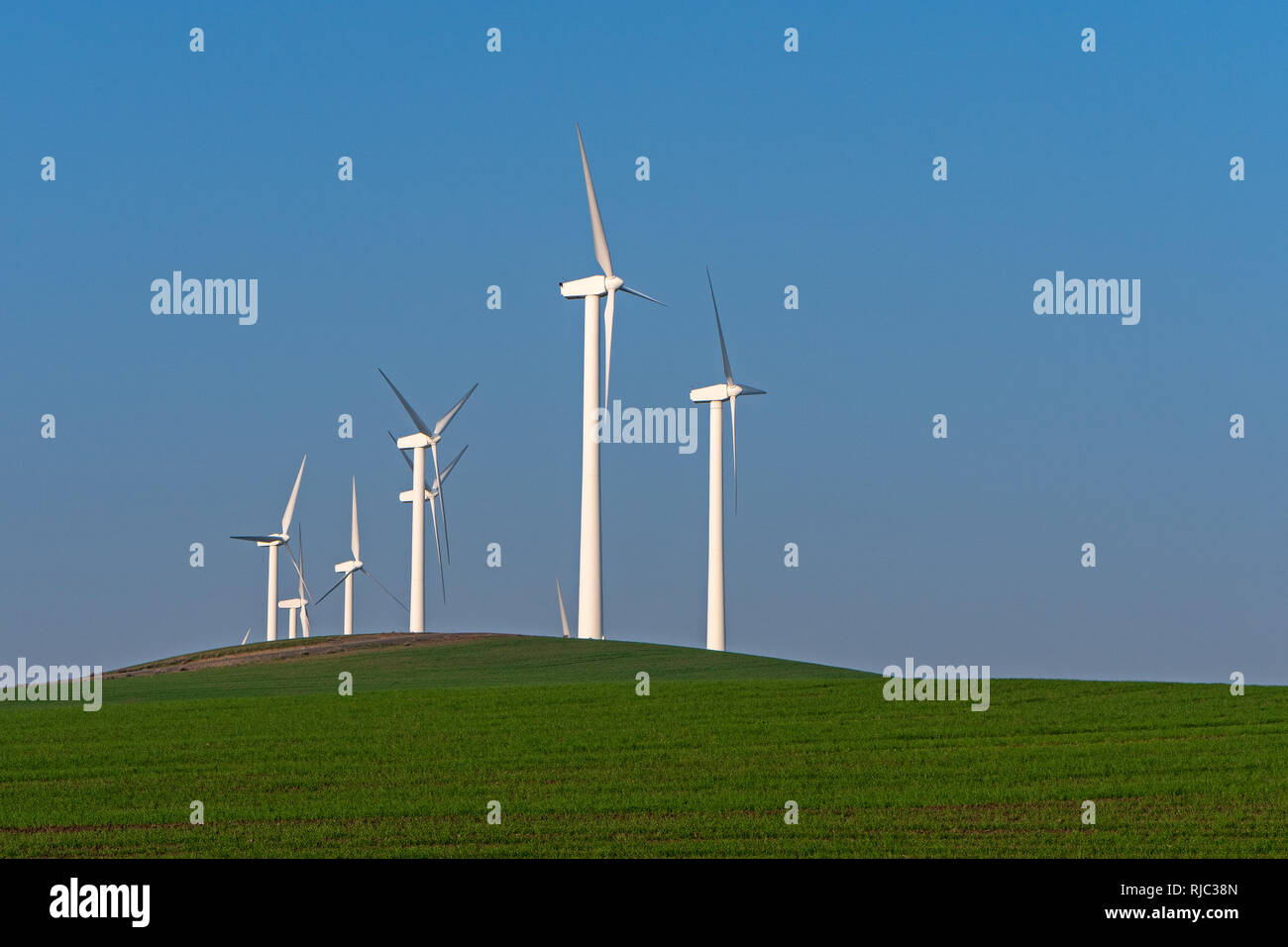 Solano Wind Projekt, Nordkalifornien Stockfoto
