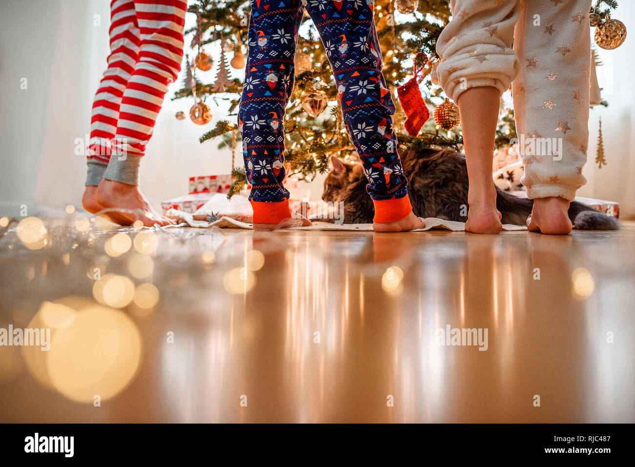 In der Nähe von drei Kindern Beine und eine Katze beim Dekorieren ein Weihnachtsbaum Stockfoto