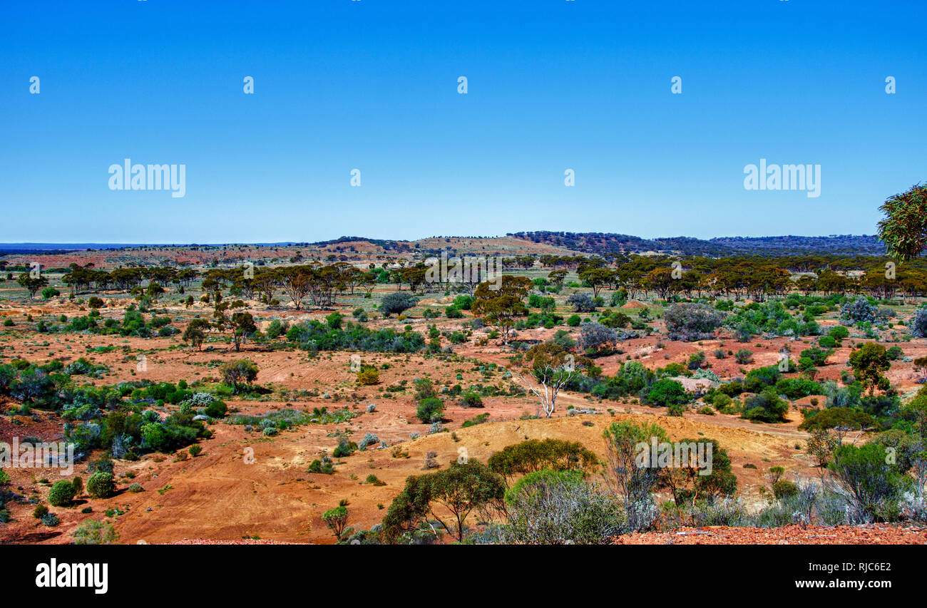 Landschaft der Wüste in der Nähe von Kalgoorlie, Western Australia, Australien Stockfoto