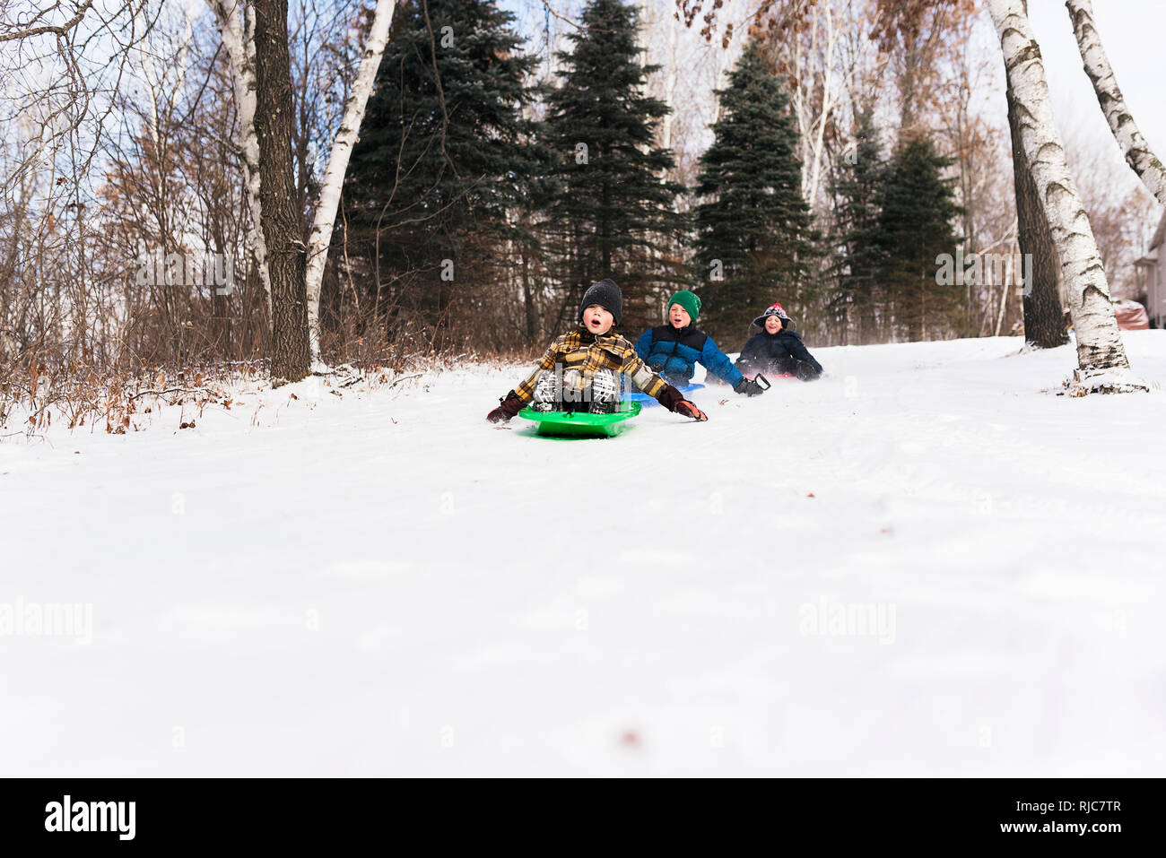 Drei Jungen Rodeln in Wäldern, Wisconsin, United States Stockfoto